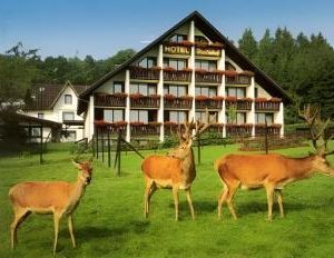 Westerwald (Dld) wandelreis <BR> 20  t/m 27 september 2026